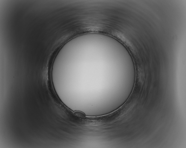 X0000089400486200706291410