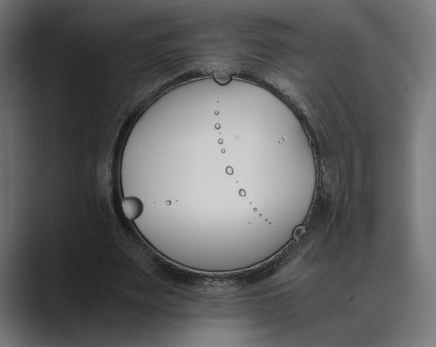 X0000089400487200706291410