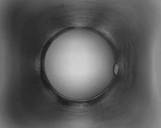 X0000089400488200706291410