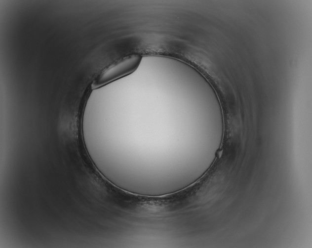 X0000089400489200706291410