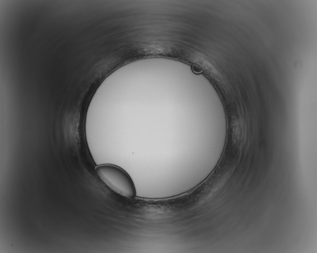 X0000089400490200706291410