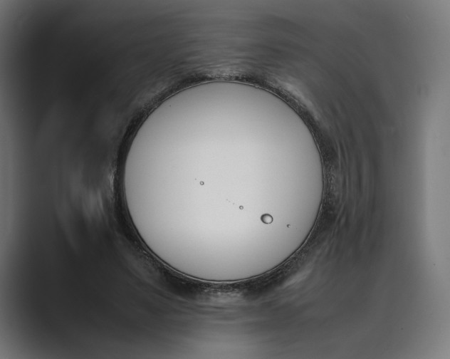 X0000089400491200706291410