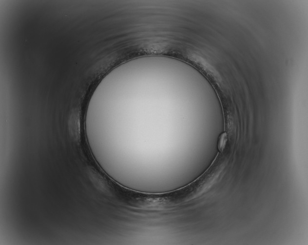 X0000089400493200706291410