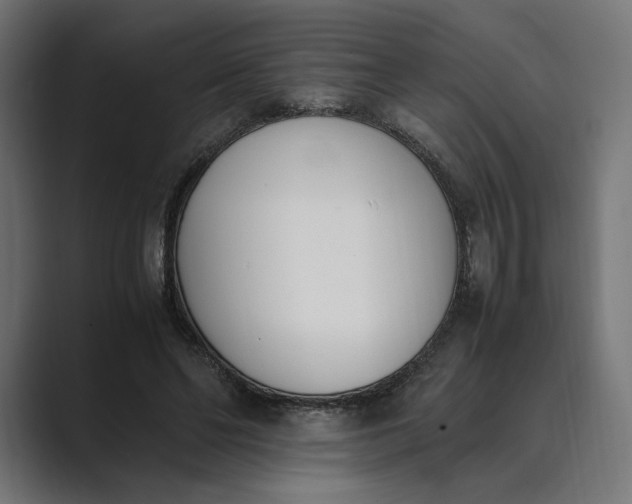 X0000089400494200706291410