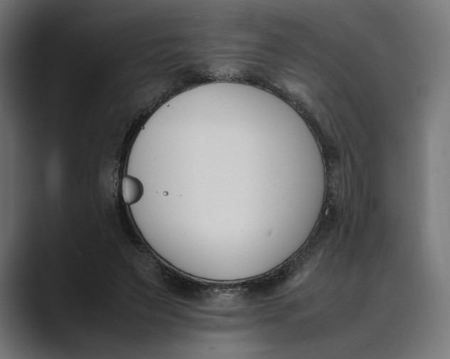 X0000089400495200706291410