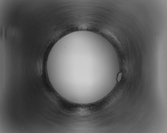 X0000089400496200706291410