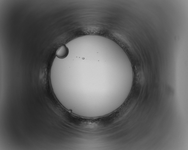 X0000089400498200706291410