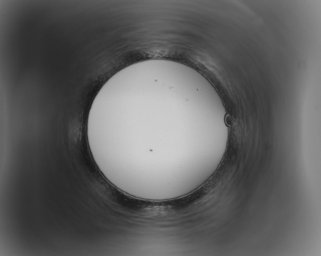 X0000089400499200706291410