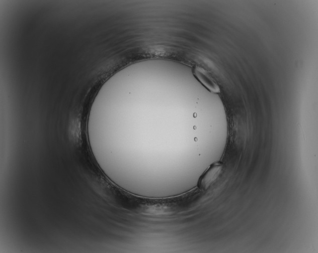 X0000089400500200706291410