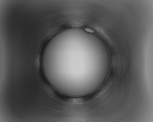 X0000089400501200706291410