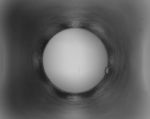 X0000089400503200706291410