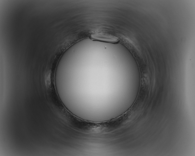 X0000089400504200706291409