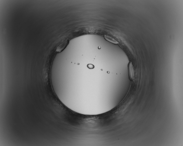 X0000089400505200706291409