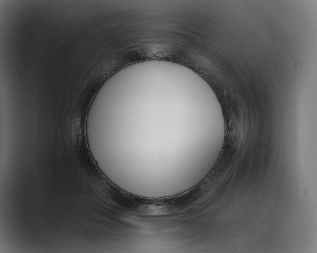 X0000089400506200706291409