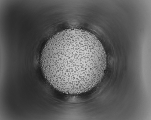 X0000089400507200706291409