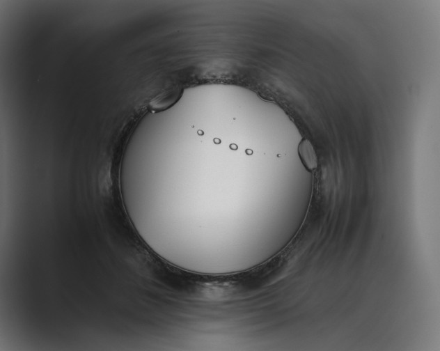 X0000089400508200706291409