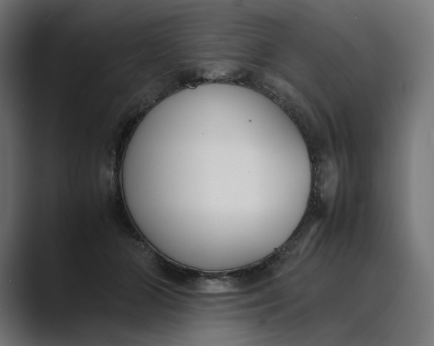 X0000089400510200706291409