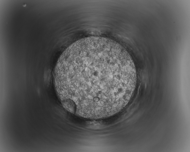 X0000089400511200706291409