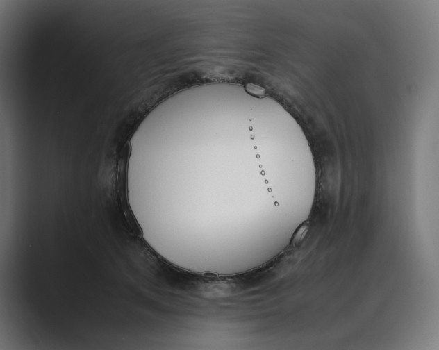 X0000089400513200706291409