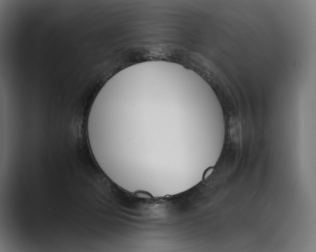 X0000089400514200706291409