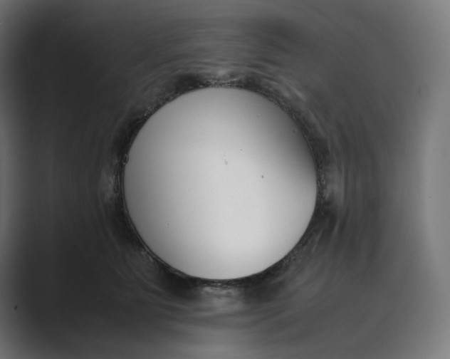 X0000089400515200706291409