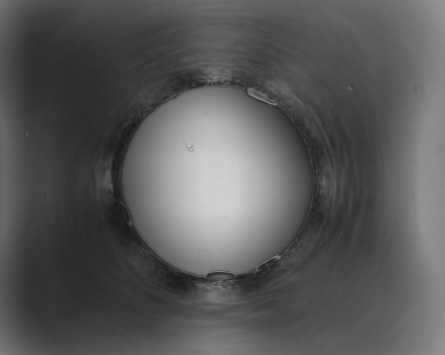 X0000089400516200706291409