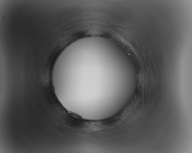 X0000089400517200706291409