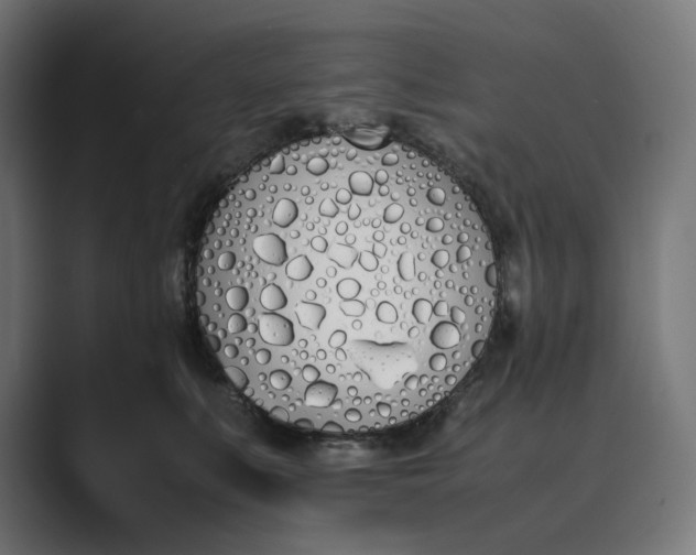 X0000089400519200706291409