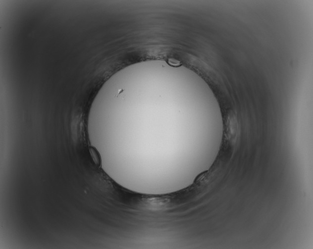 X0000089400522200706291409