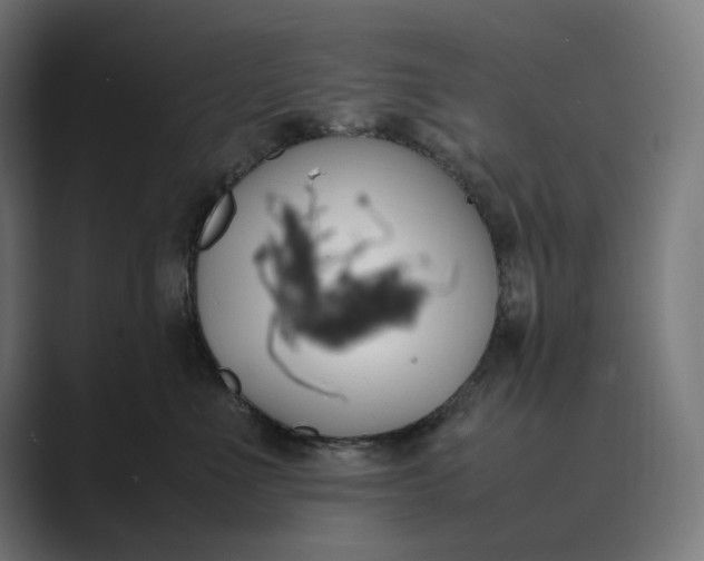 X0000089400523200706291409