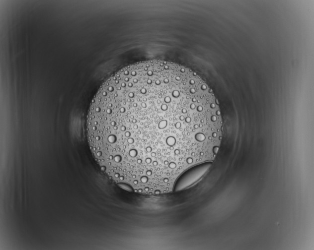 X0000089400527200706291409