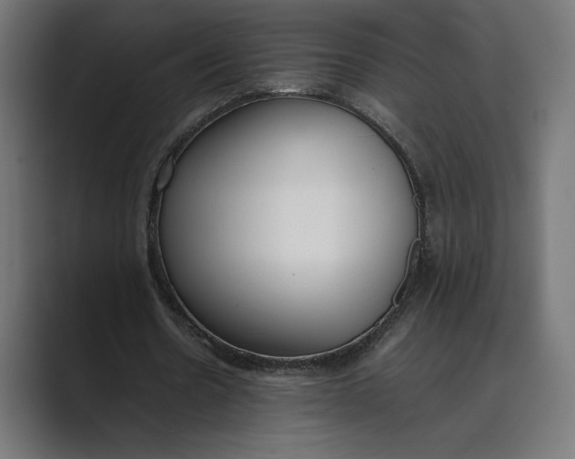 X0000089400530200706291409