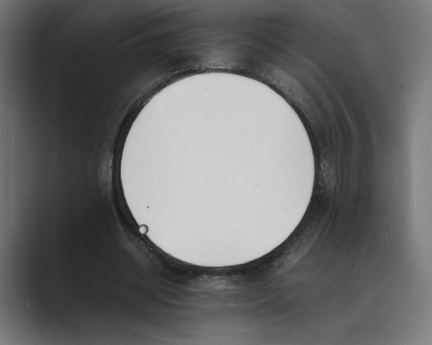 X0000089400534200706291409