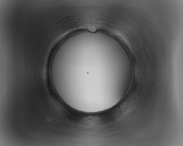 X0000089400536200706291409