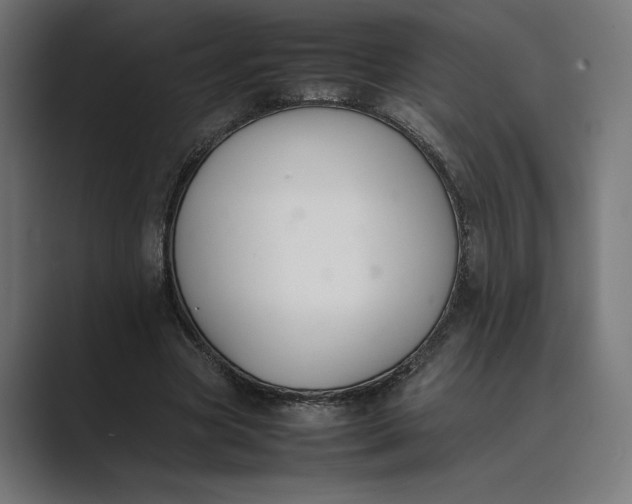 X0000089400537200706291409