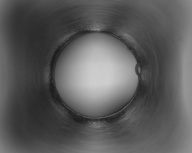 X0000089400540200706291409