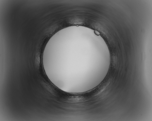 X0000089400541200706291409