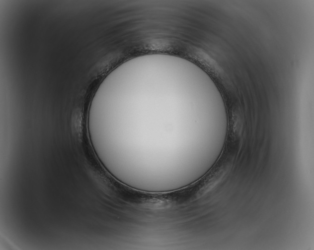 X0000089400542200706291409