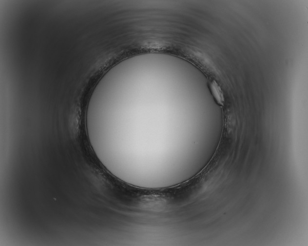 X0000089400544200706291409