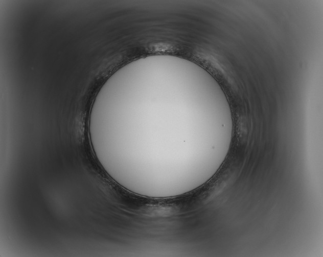 X0000089400545200706291409