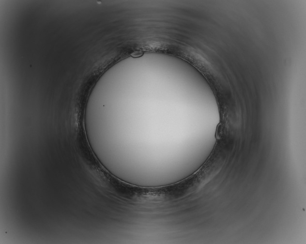 X0000089400546200706291409