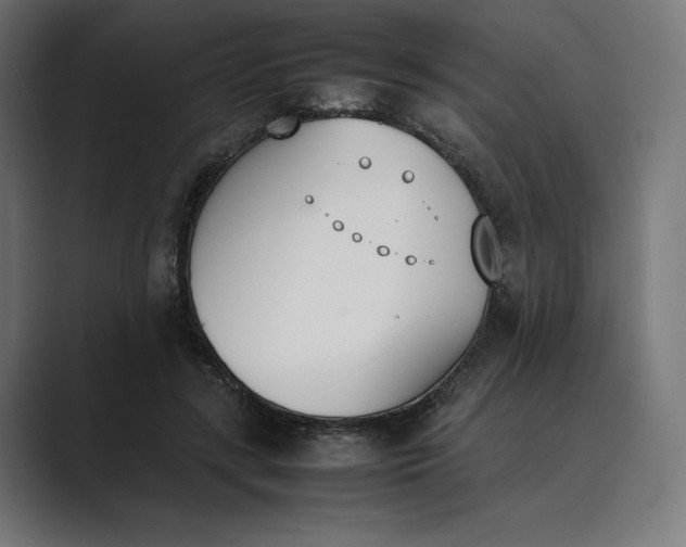 X0000089400547200706291409