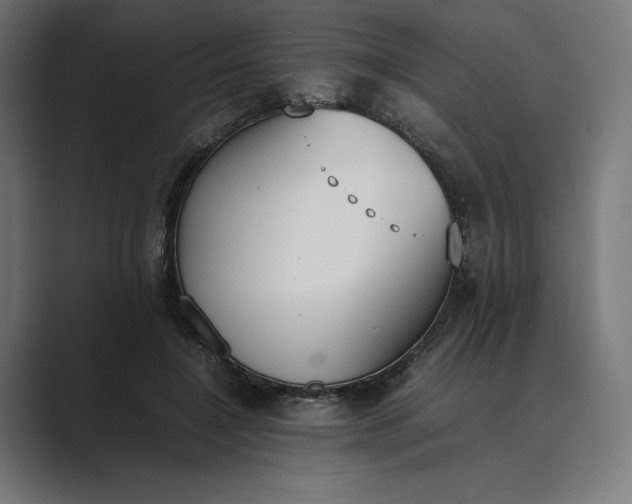 X0000089400548200706291409