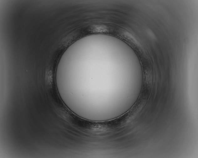 X0000089400549200706291409