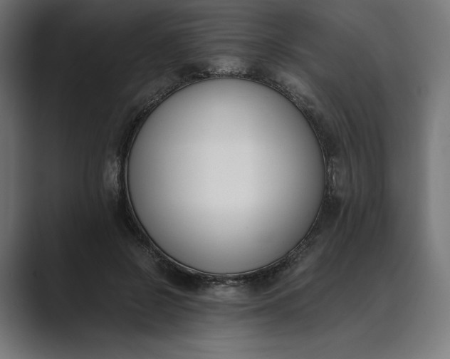 X0000089400550200706291409