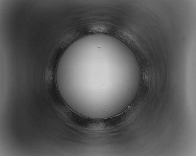 X0000089400551200706291409