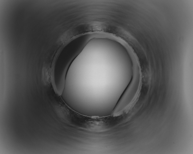 X0000089400552200706291409