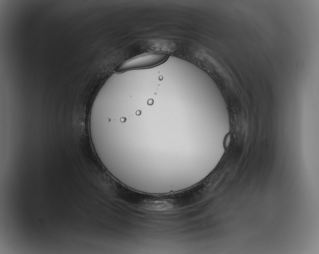 X0000089400553200706291409