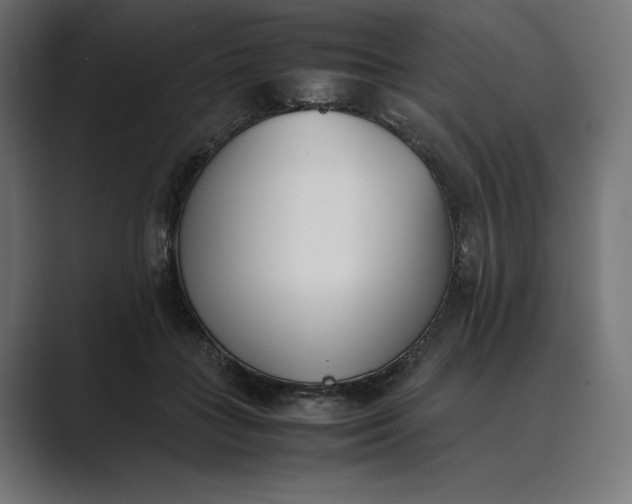 X0000089400555200706291409