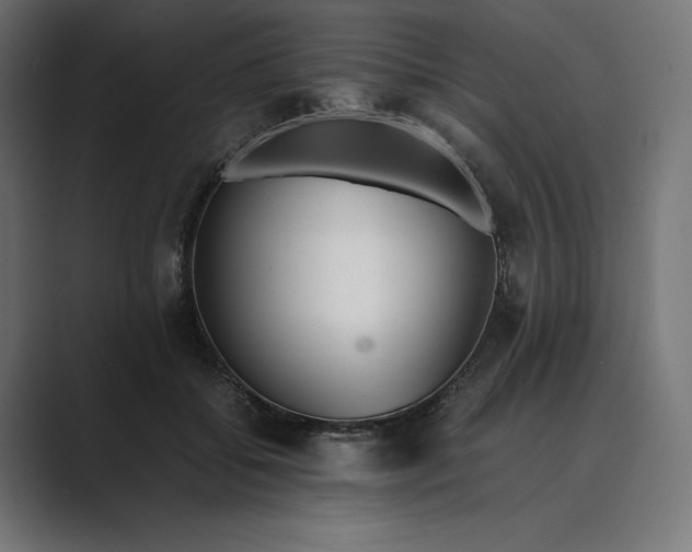 X0000089400556200706291409